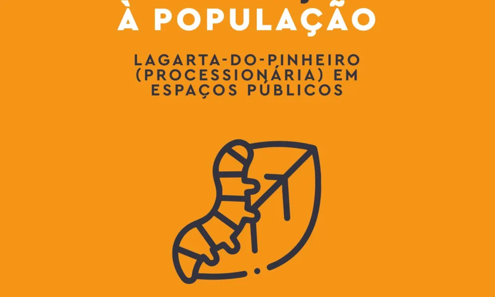 Alerta em Castro Verde: Subida de temperatura acelera perigo da lagarta-do-pinheiro