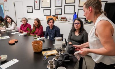 Workshop “As Cores do Chá” revela segredos da Camellia sinensis no Centro de Interpretação do Românico