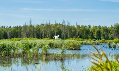 BIOPOLIS-CIBIO quer inovar a monitorização da biodiversidade na Europa