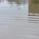 Tempestades deixam rasto de destruição e 10 milhões de euros em danos em Abrantes
