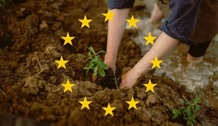 Governo simplifica gestão dos fundos europeus e altera o PEPAC « Comissão de Coordenação e Desenvolvimento Regional do Alentejo, I.P.