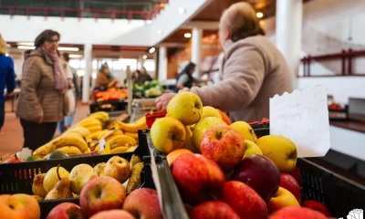 Mercado Municipal já funciona no Centro Cultural da Nazaré
