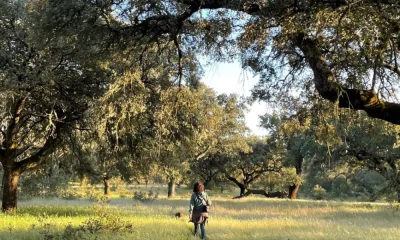 O novo luxo alentejano: silêncio e desconexão ditam tendências de bem-estar