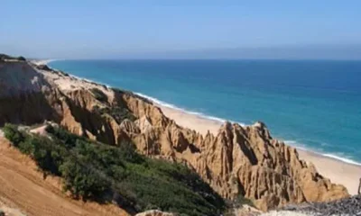 Fósseis de baleias encontrados na Praia da Galé mobilizam paleontólogos em Grândola