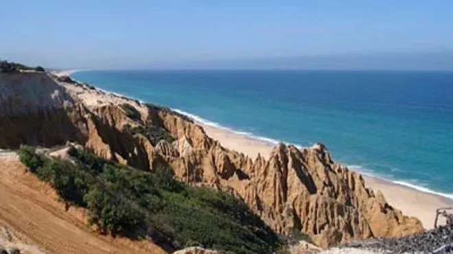 Fósseis de baleias encontrados na Praia da Galé mobilizam paleontólogos em Grândola
