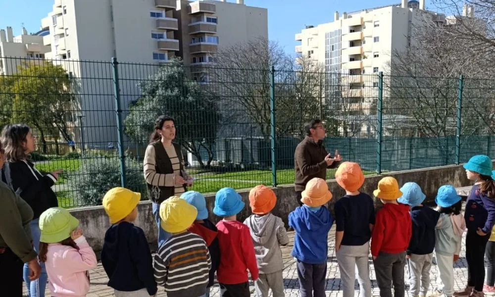 Estamos a selecionar Professor em Mobilidade Estatutária