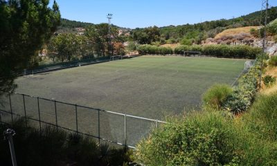 Município de Portalegre