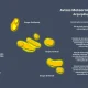 Atenção aos Avisos Meteorológicos para os Açores:
Agitação Marítima – Amarelo [ …