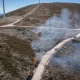 CM Pampilhosa da Serra / Pampilhosa da Serra reforça prevenção de incêndios com ação de fogo controlado