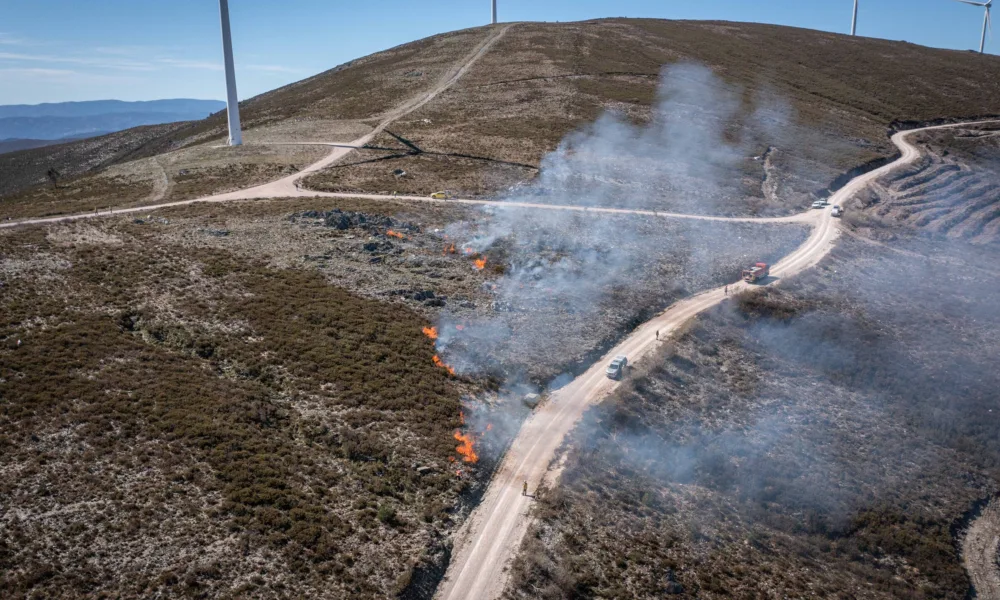 CM Pampilhosa da Serra / Pampilhosa da Serra reforça prevenção de incêndios com ação de fogo controlado