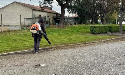 Câmara Municipal de Alvito avança com corte de ervas e manutenção em Vila Nova d…