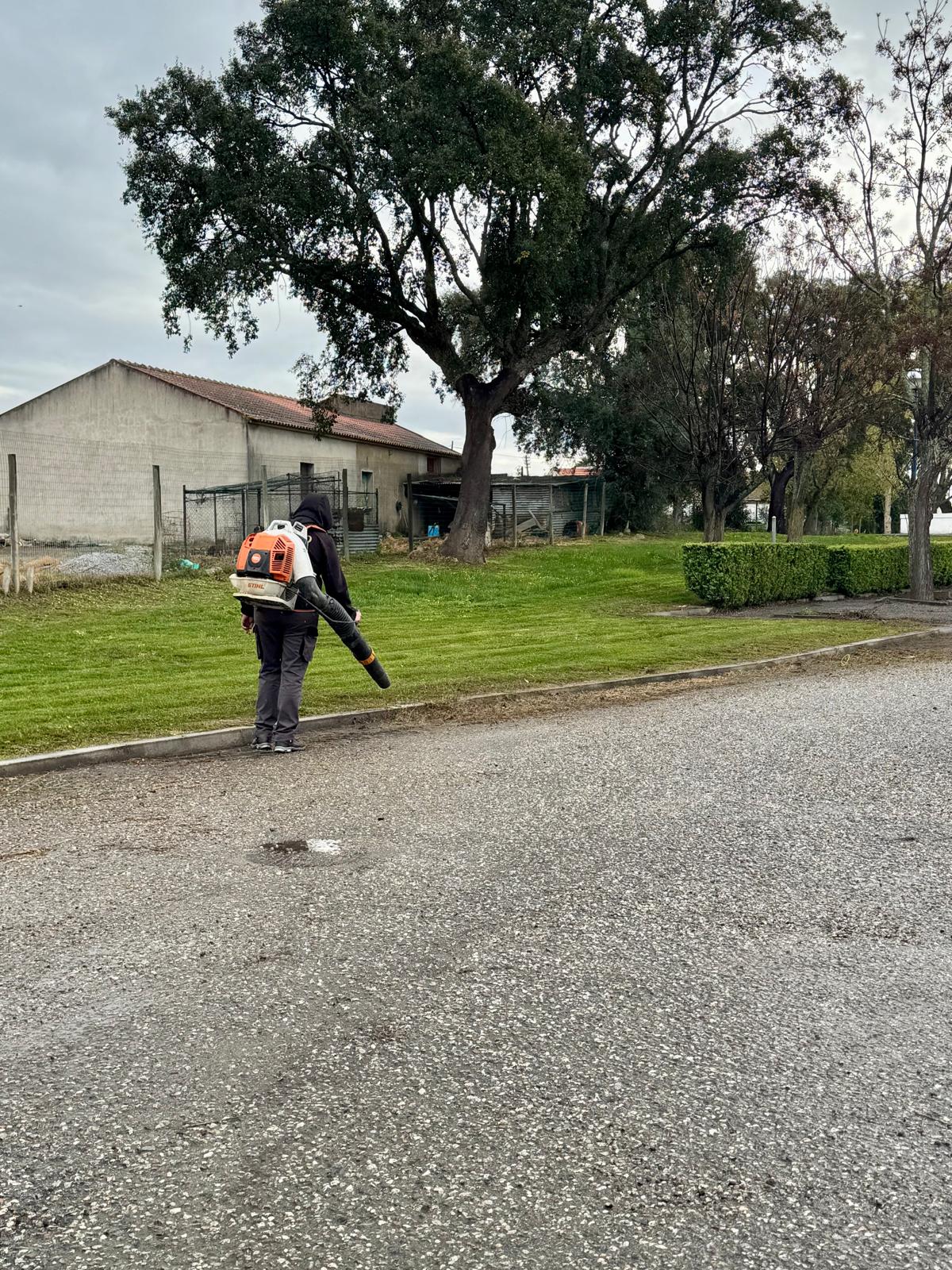 Câmara Municipal de Alvito avança com corte de ervas e manutenção em Vila Nova d…