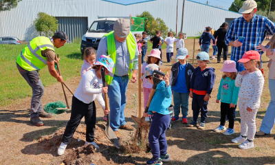 Agrupamento de Escolas plantou árvores na Zona Industrial