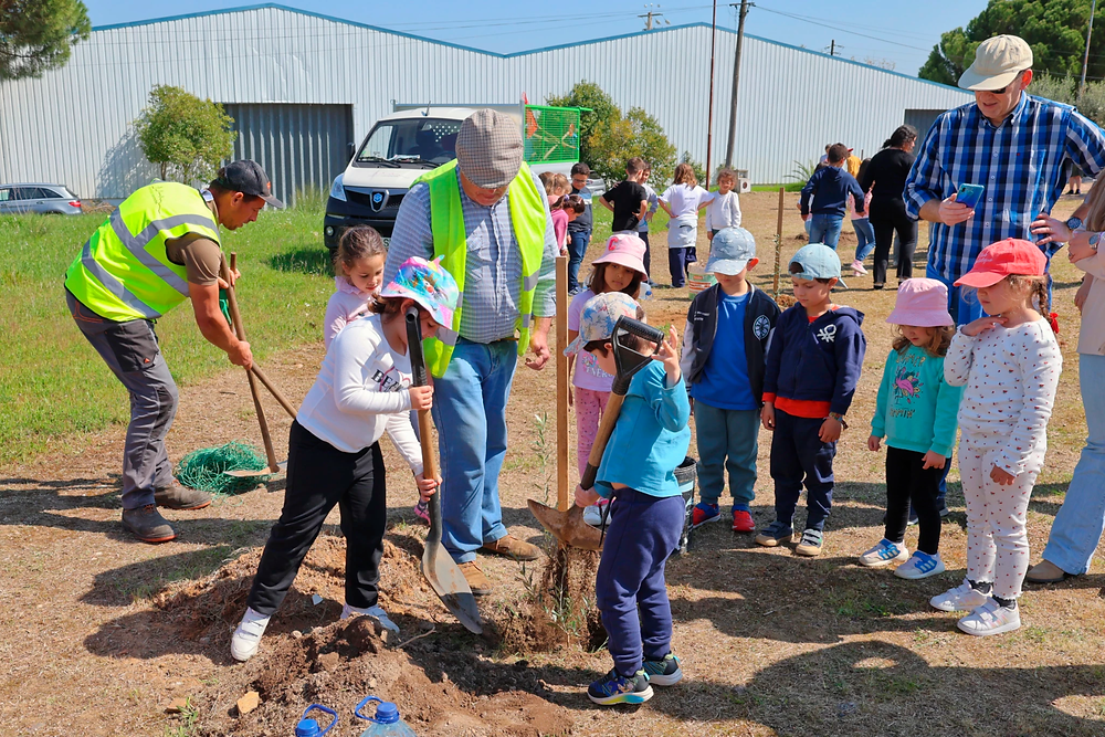 Agrupamento de Escolas plantou árvores na Zona Industrial