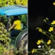 A 20 de março assinala-se o Dia Mundial da Agricultura e o Equinócio da Primaver…