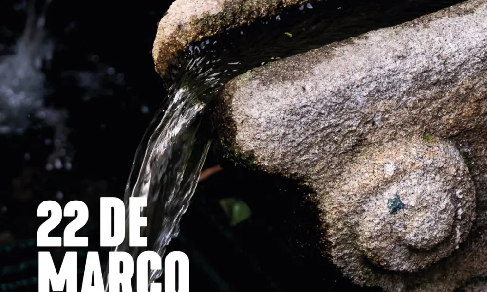 A 22 de março assinala-se o Dia Mundial da Água, um recurso essencial à vida, ao…