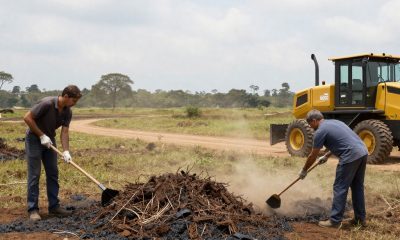Amarante lembra obrigação legal de limpeza de terrenos junto a edifícios para prevenção de incêndios rurais