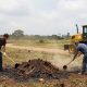 Amarante lembra obrigação legal de limpeza de terrenos junto a edifícios para prevenção de incêndios rurais
