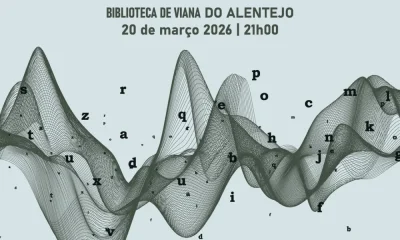 Bibliotecas de Viana do Alentejo