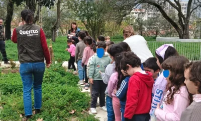 Educação ambiental
