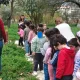 Educação ambiental