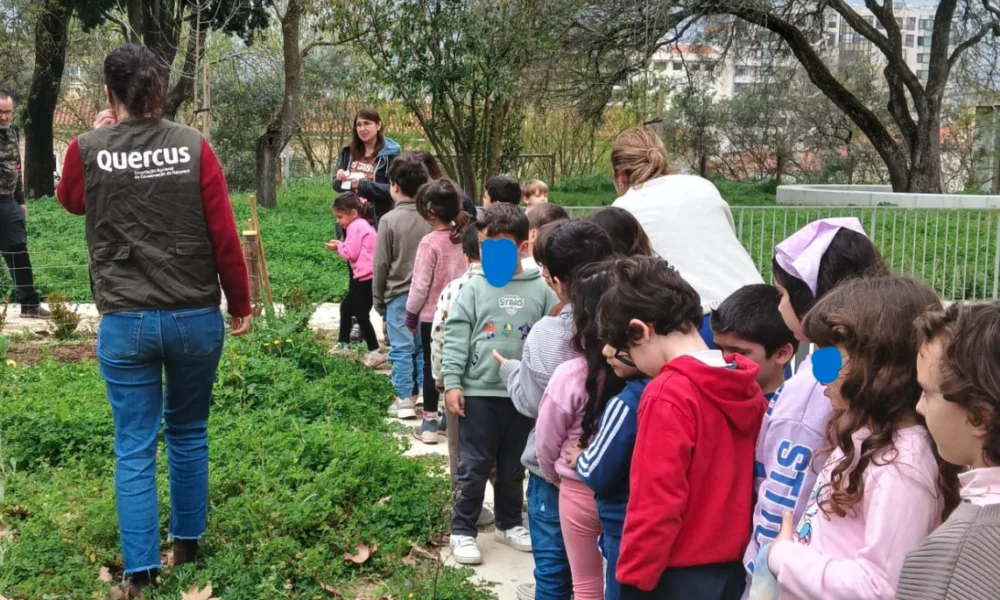 Educação ambiental