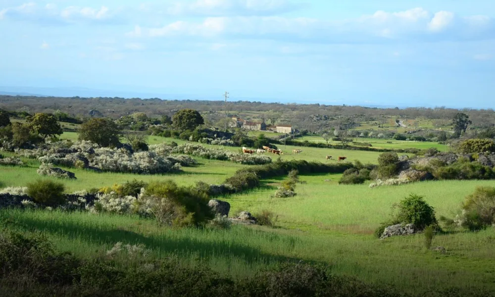 Alentejo e Ribatejo lançam campanha transfronteiriça para atrair turistas espanhóis na Páscoa