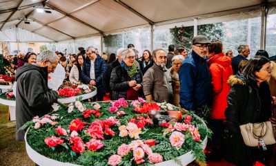 Celorico de Basto abriu XXI Festa Internacional das Camélias com 49 expositores e presença do Turismo do Porto e Norte