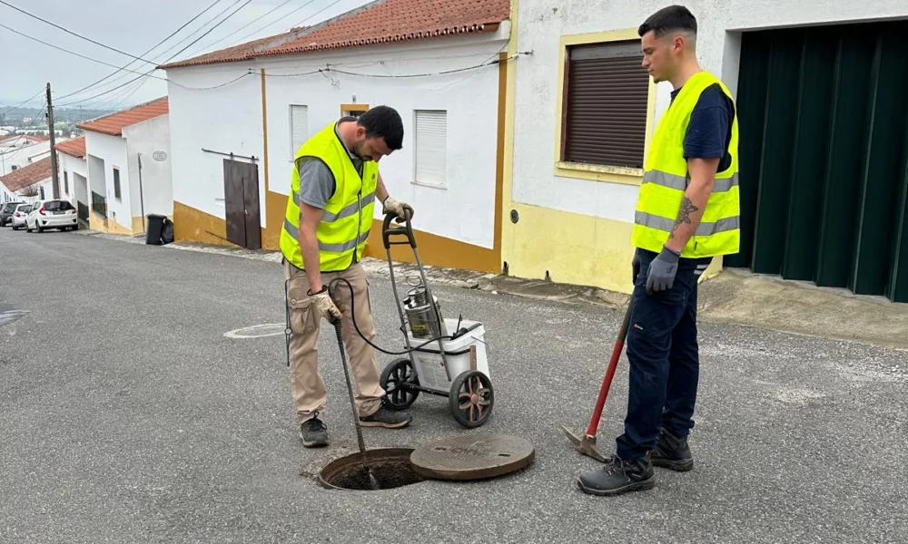 De modo a minimizar a incidência de pragas em espaço público e a garantir as mel…