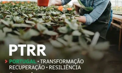 Empresas, agricultores, comerciantes, instituições.
A recuperação e a transforma…