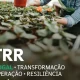 Empresas, agricultores, comerciantes, instituições.
A recuperação e a transforma…