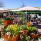 Feira da Primavera anima fim de semana de Ramos em Lousada