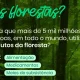 Florestas saudáveis significam comunidades saudáveis. Combater a destruição das …