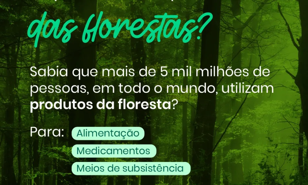 Florestas saudáveis significam comunidades saudáveis. Combater a destruição das …
