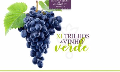 Freguesia do Salvador, em Amarante, promove XII Caminhada “Trilhos do Vinho Verde” a 22 de março