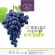 Freguesia do Salvador, em Amarante, promove XII Caminhada “Trilhos do Vinho Verde” a 22 de março