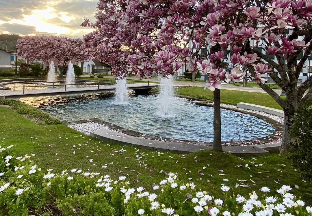 Resende Vila Jardim arranca com Mercadinho da Páscoa a 28 de março no Jardim 25 de Abril
