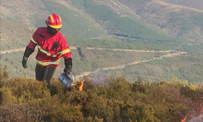 Governo reforça prevenção de incêndios com novo apoio financeiro ao fogo controlado