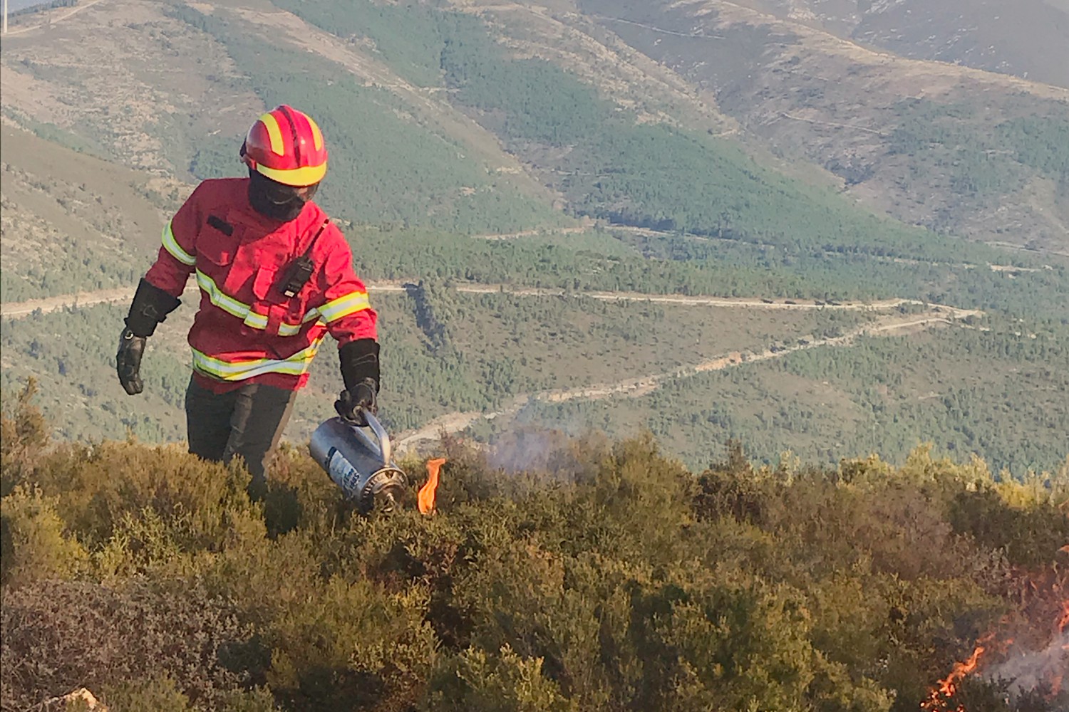 Governo reforça prevenção de incêndios com novo apoio financeiro ao fogo controlado