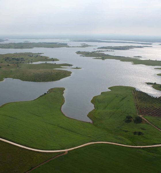 Vídeo amador capta salto ilegal de paraquedas no Marquês de Pombal