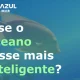 HUB Azul IDEATION – Hub OEIRAS MAR 
 IPMA |  7–8 abril 

Dois dias de inovação …