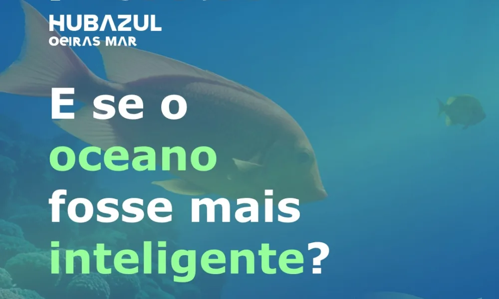 HUB Azul IDEATION – Hub OEIRAS MAR 
 IPMA |  7–8 abril 

Dois dias de inovação …