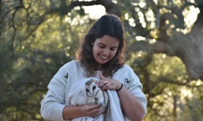 Acolhimento de animais selvagens feridos