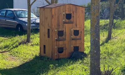 NOVO ABRIGO PARA GATOS DE RUA 
Foi colocado mais um abrigo para gatos errantes,…