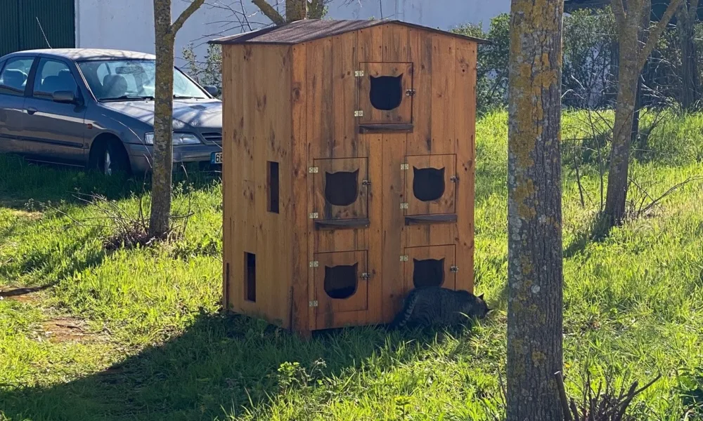 NOVO ABRIGO PARA GATOS DE RUA 
Foi colocado mais um abrigo para gatos errantes,…