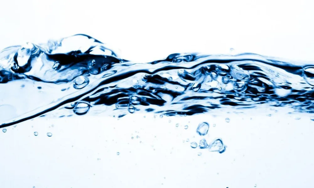 No Dia Mundial da Água, a CCDR Algarve reforça a importância da preservação e ge…