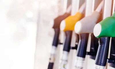 O Governo adotou ao longo das últimas semanas um conjunto de medidas para mitiga…