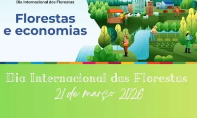 O tema do Dia Internacional das Florestas de 2026 é Florestas e Economias.

A pe…