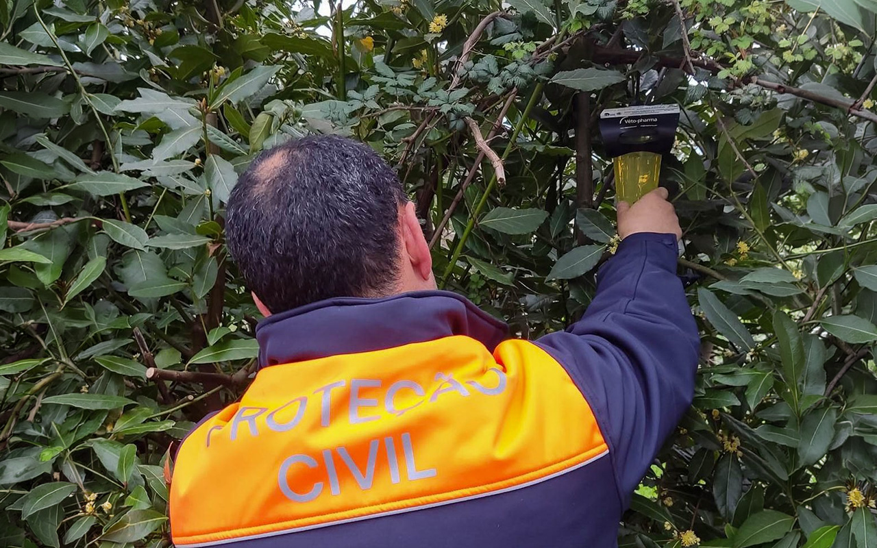 Paços de Ferreira reforça armadilhas para captura de vespas fundadoras no início do ciclo biológico de 2026