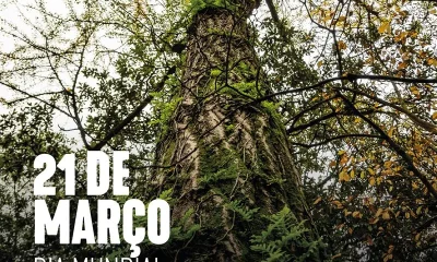 Para assinalar o Dia Mundial da Poesia e o Dia Mundial da Árvore, partilhamos “A…